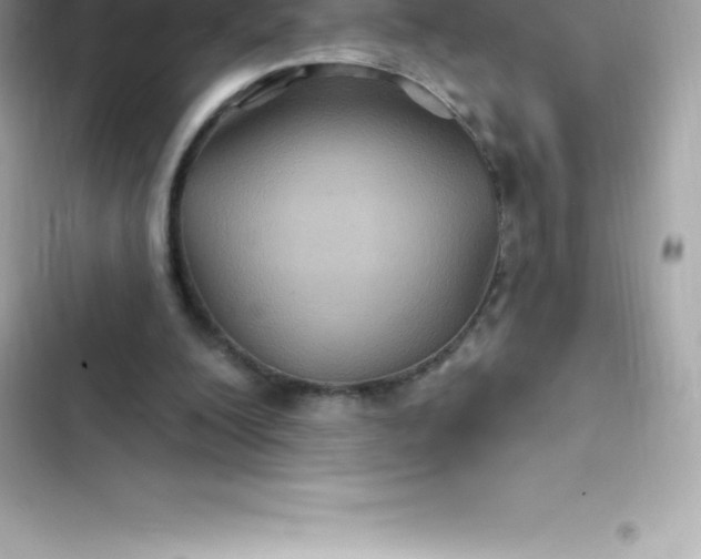 X0000103320200200809192148