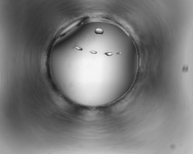 X0000103320201200809192148