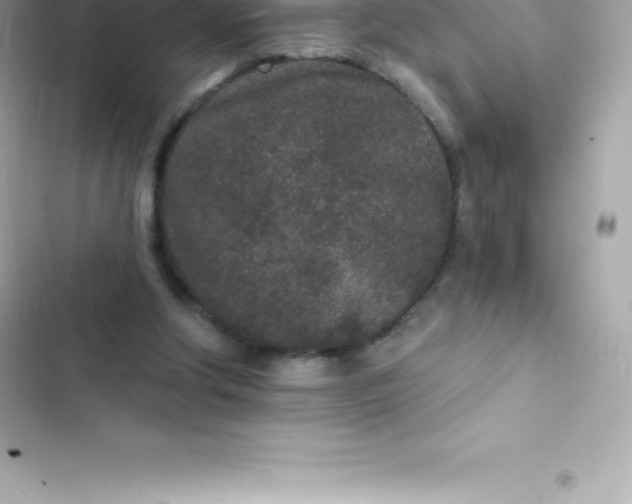 X0000103320202200809192148