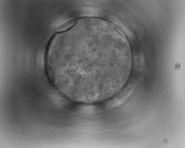 X0000103320203200809192148