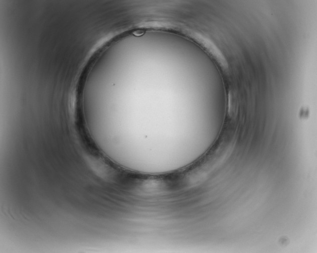 X0000103320204200809192148