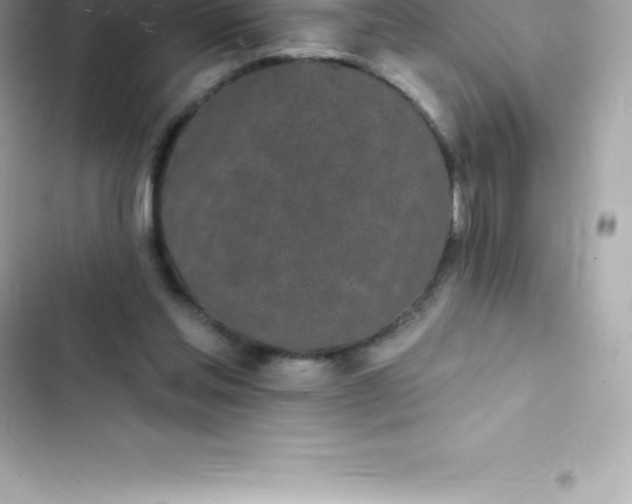 X0000103320205200809192148