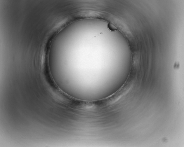 X0000103320206200809192148