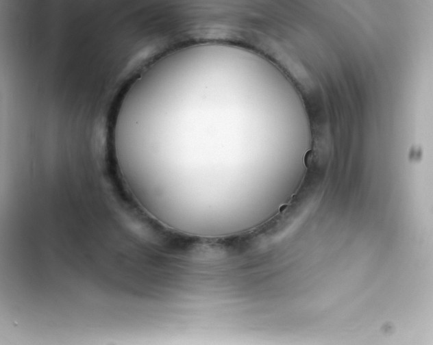 X0000103320207200809192148