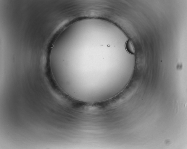 X0000103320208200809192148