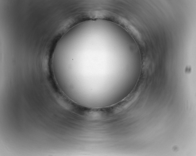 X0000103320209200809192148