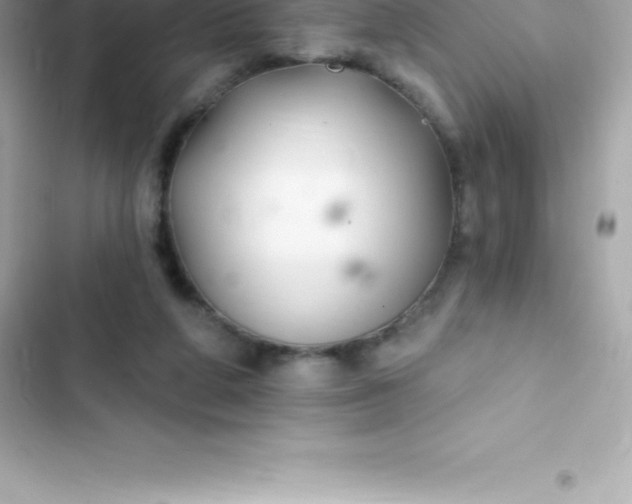 X0000103320210200809192148