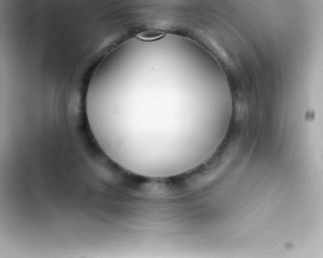 X0000103320211200809192148