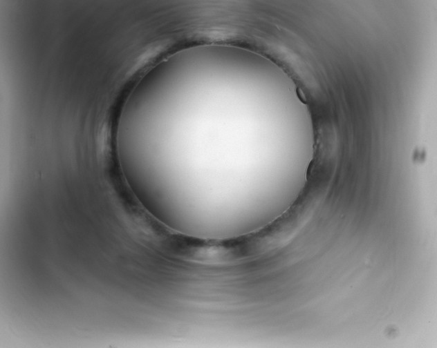 X0000103320212200809192148