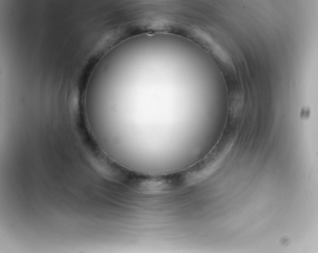 X0000103320213200809192148