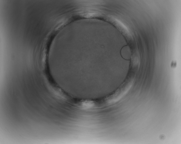 X0000103320214200809192148