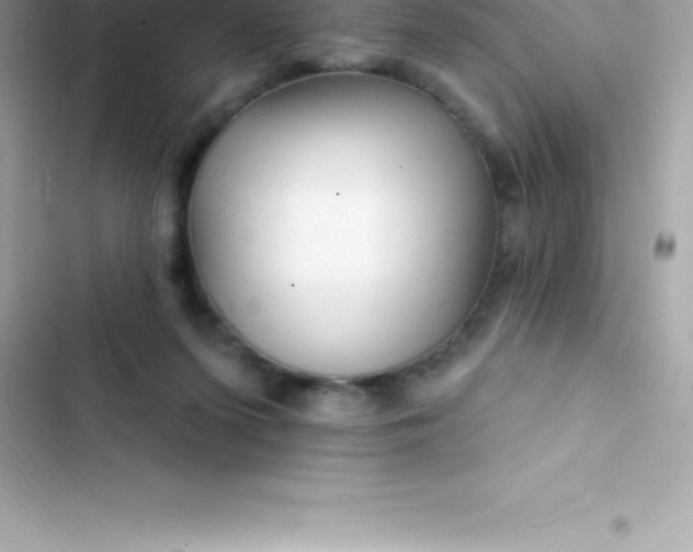 X0000103320215200809192148