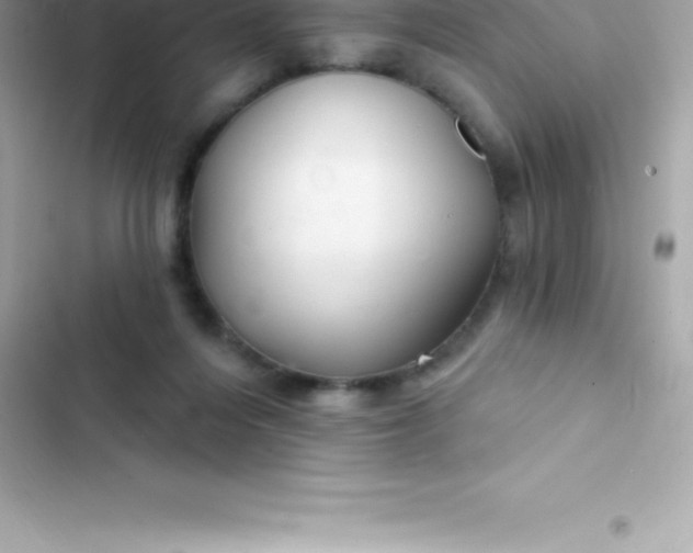 X0000103320216200809192148