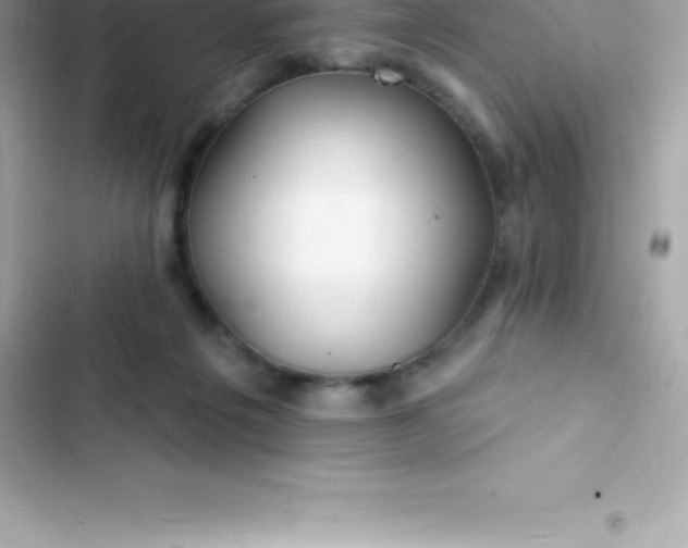 X0000103320217200809192148