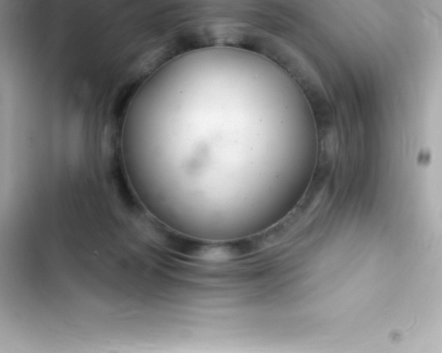 X0000103320218200809192148