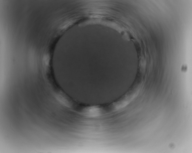 X0000103320219200809192148