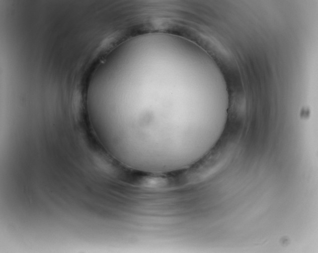 X0000103320220200809192148