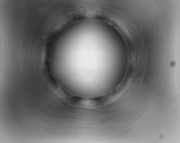 X0000103320221200809192147