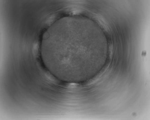 X0000103320222200809192147