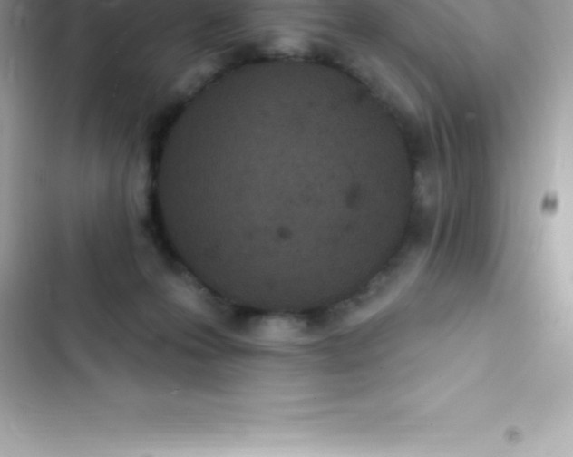 X0000103320223200809192147