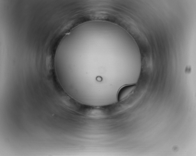 X0000103320224200809192147