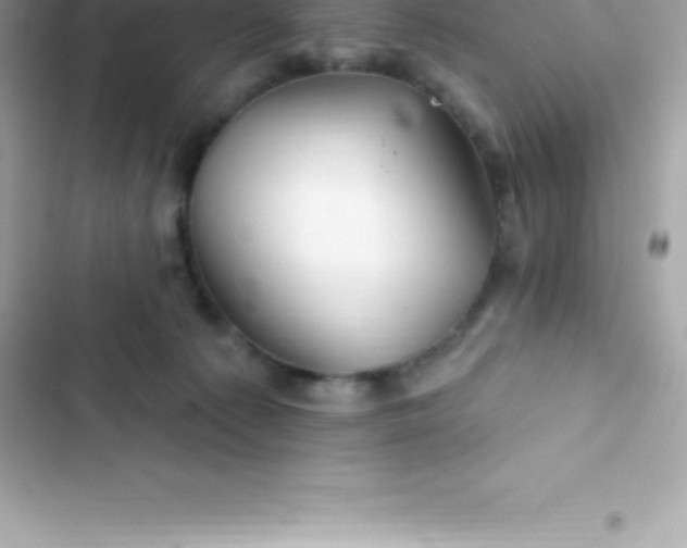 X0000103320225200809192147