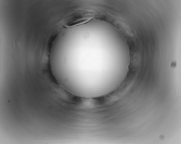 X0000103320226200809192147