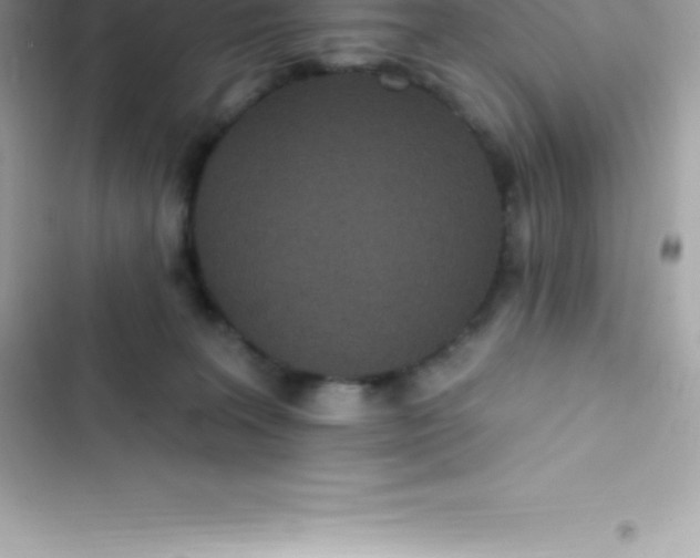 X0000103320227200809192147