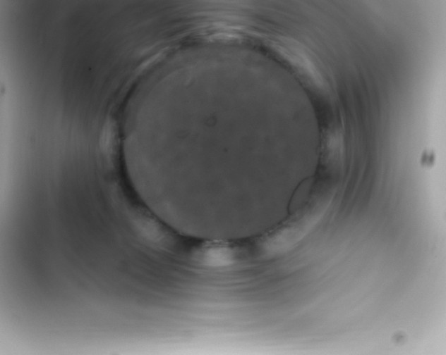 X0000103320228200809192147