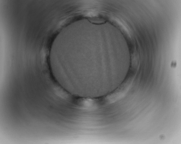 X0000103320229200809192147