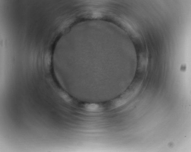 X0000103320230200809192147