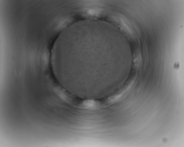 X0000103320231200809192147