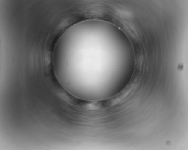 X0000103320232200809192147