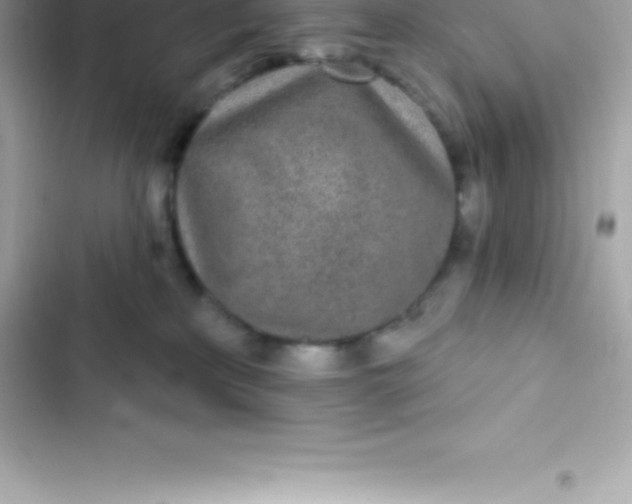 X0000103320233200809192147