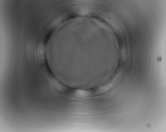 X0000103320234200809192147