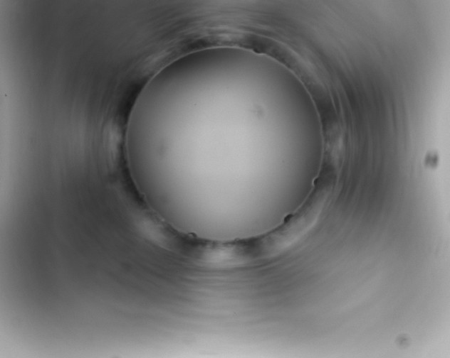 X0000103320235200809192147