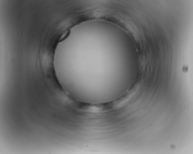 X0000103320236200809192147