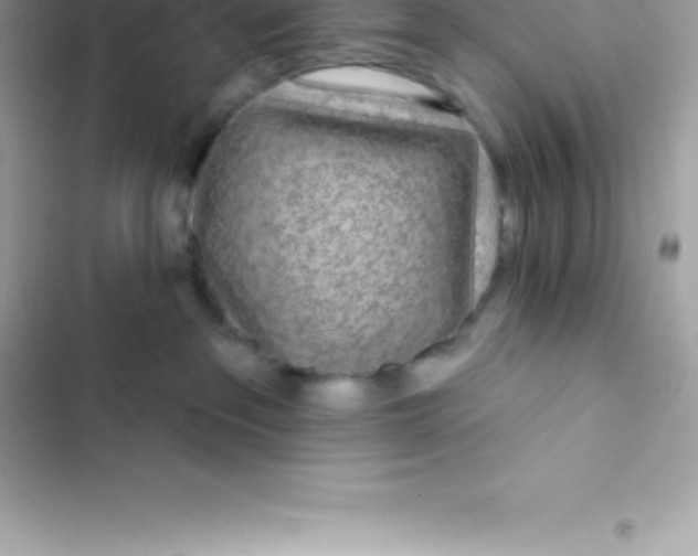 X0000103320237200809192147