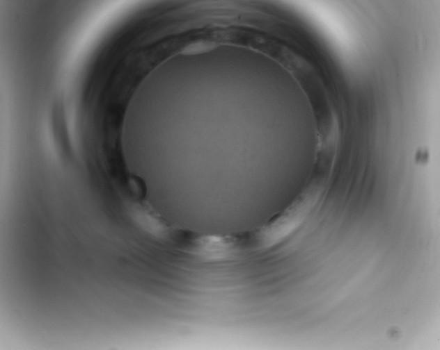 X0000103320239200809192147