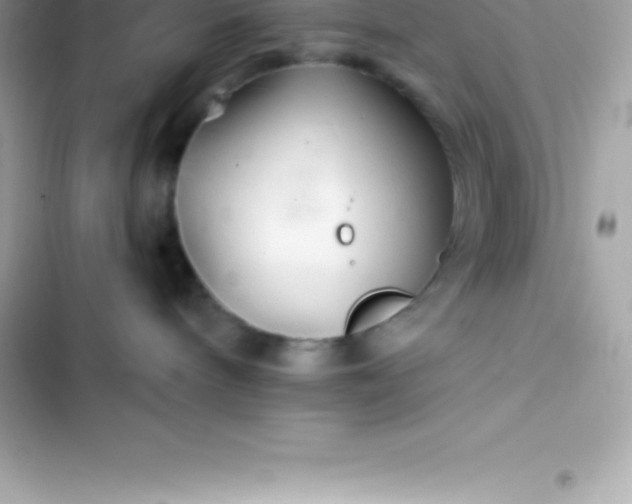 X0000103320240200809192147