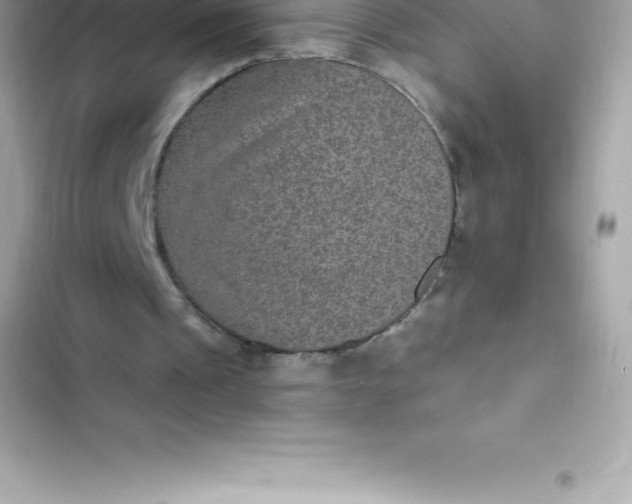 X0000103320241200809192146