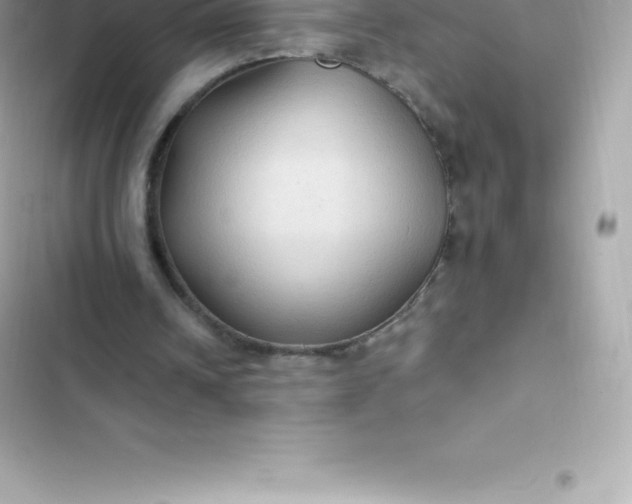 X0000103320242200809192146