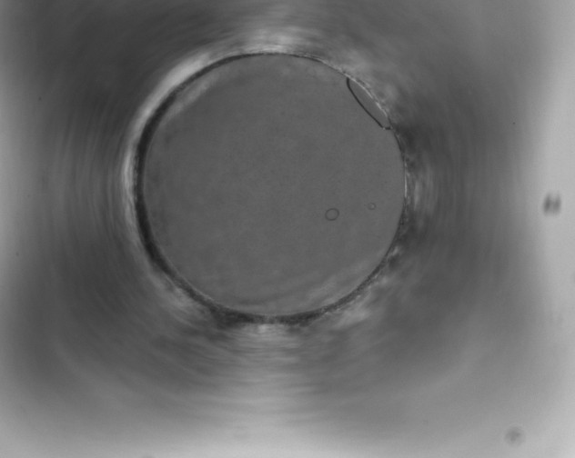 X0000103320244200809192146