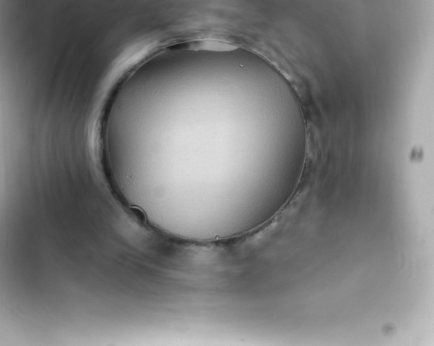 X0000103320245200809192146