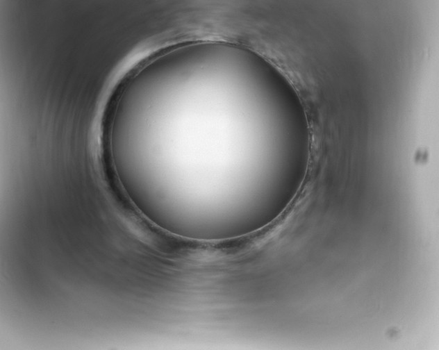 X0000103320246200809192146