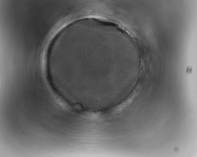 X0000103320247200809192146