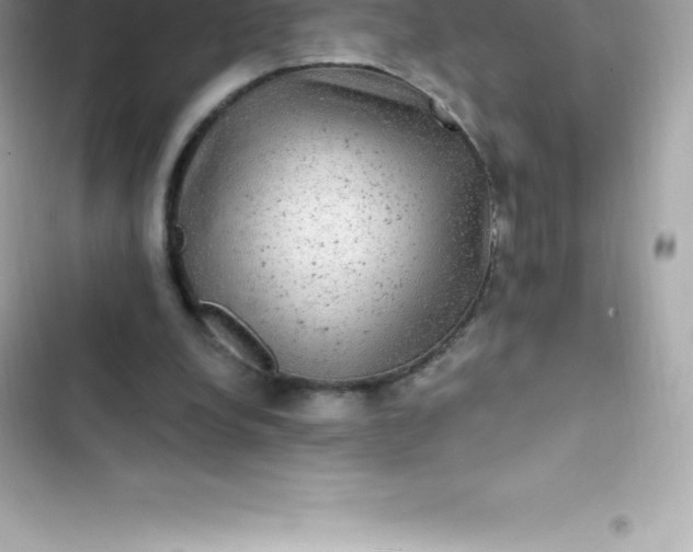 X0000103320248200809192147