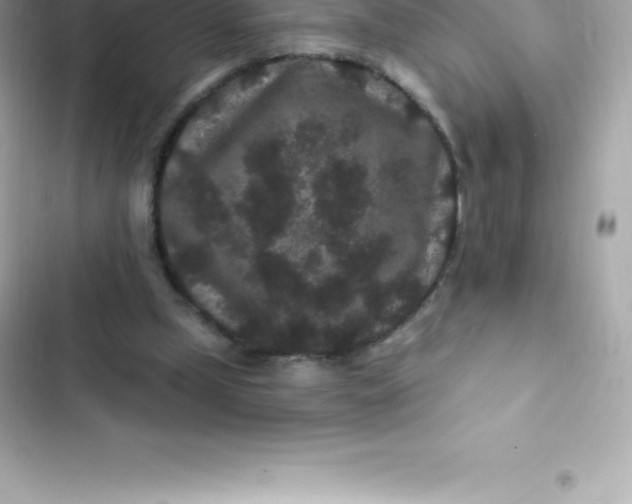 X0000103320249200809192147