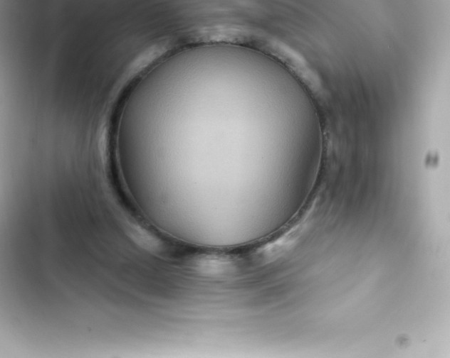 X0000103320250200809192147