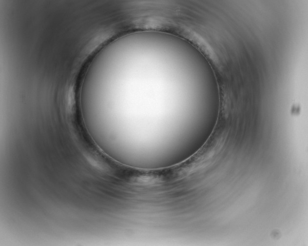 X0000103320251200809192147